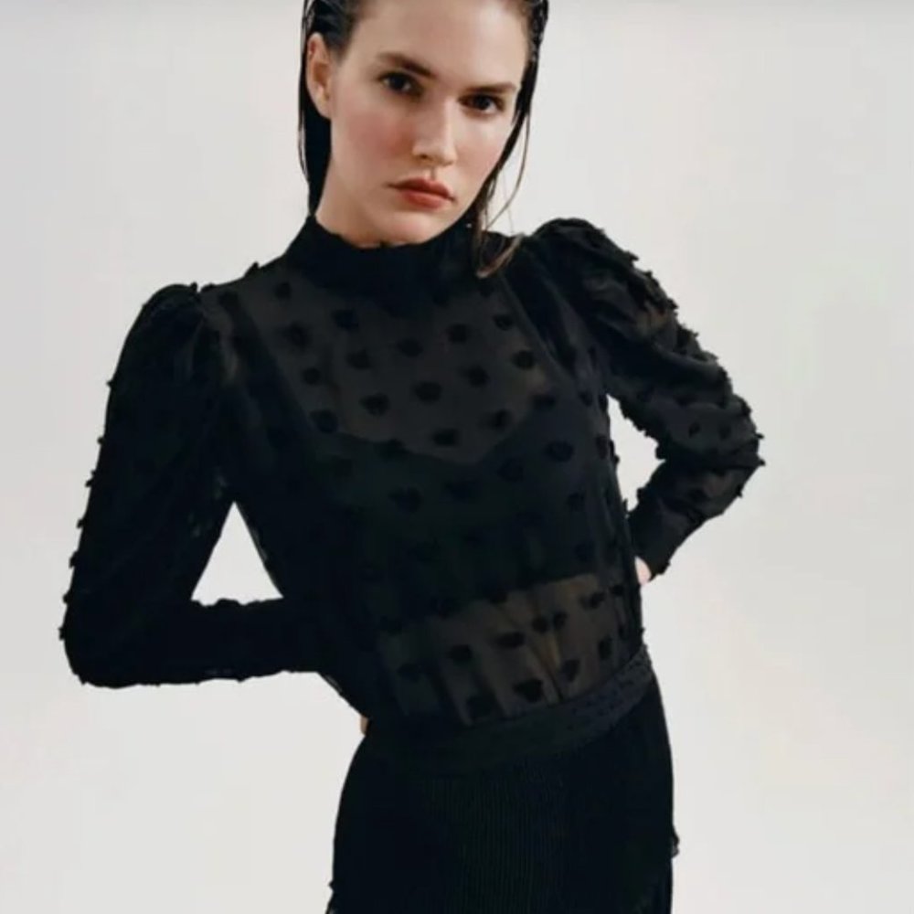 Zara semi sheer Swiss dot blouse